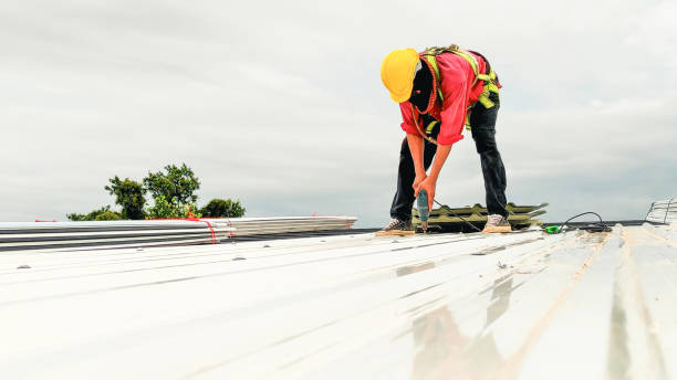 Best Roof Ventilation Installation  in Forsyth, MT