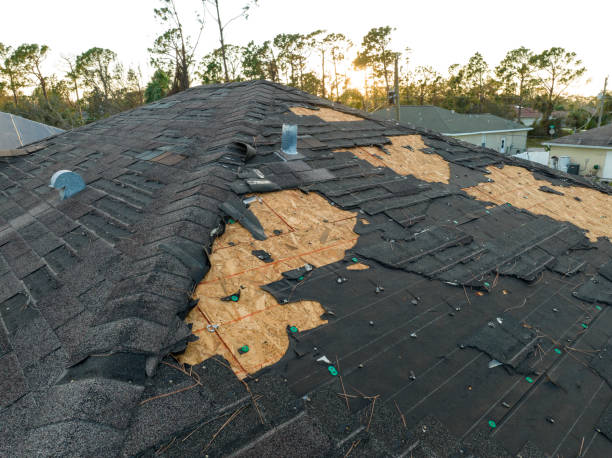 Best Roof Maintenance and Cleaning  in Forsyth, MT