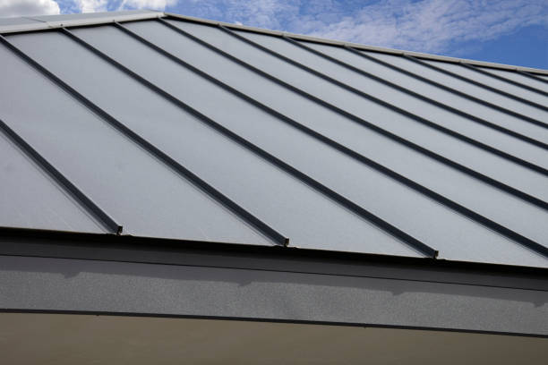 Best Roof Coating and Sealing  in Forsyth, MT